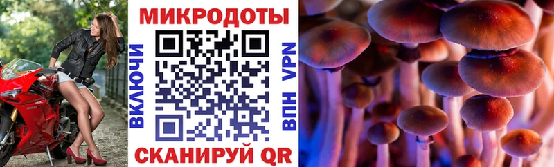 Псилоцибиновые грибы Cubensis  Яблоновский 