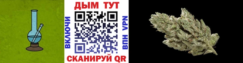 МАРИХУАНА сатива  Яблоновский 